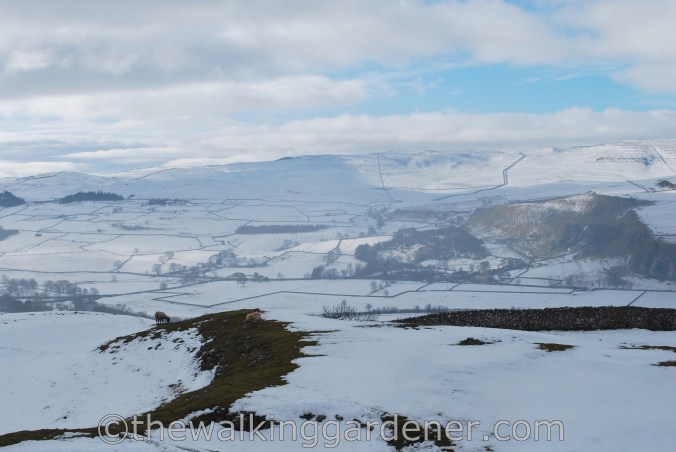 Dales Way Day 2 Burnsall to Cray (22)