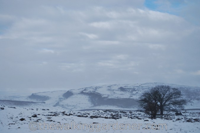 Dales Way Day 2 Burnsall to Cray (5)