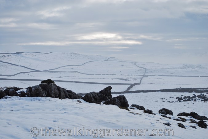 Dales Way Day 2 Burnsall to Cray (8)