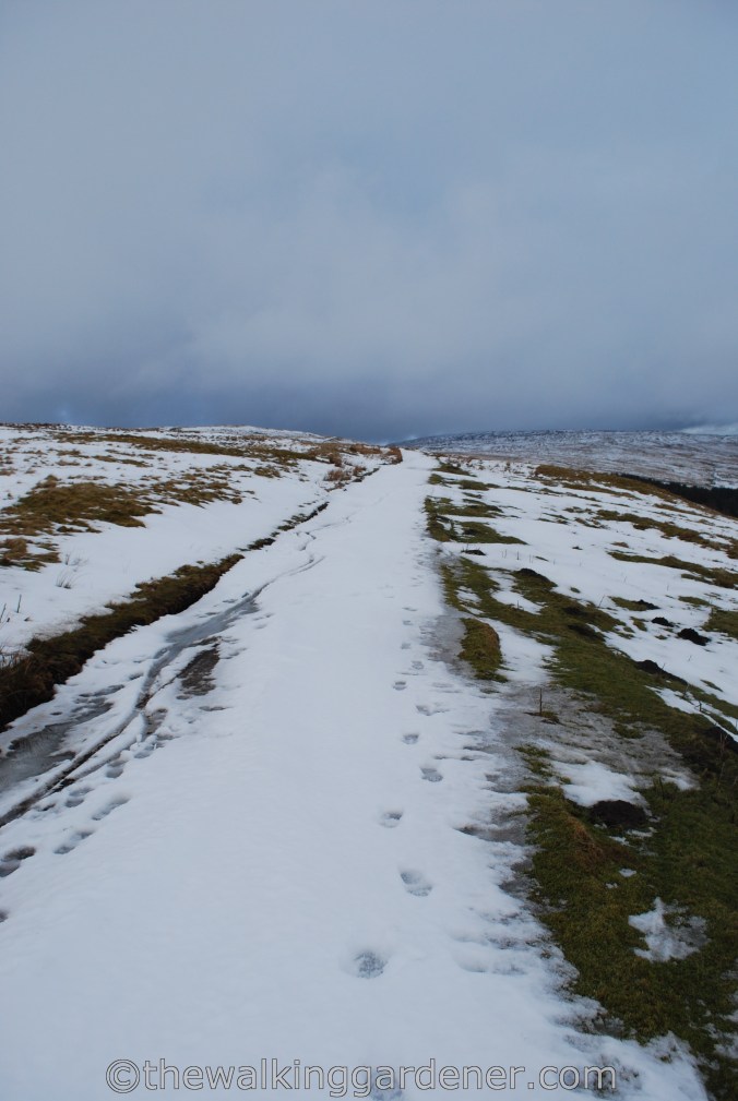 Dales Way Day 3 Cray to Ribblehead (27)