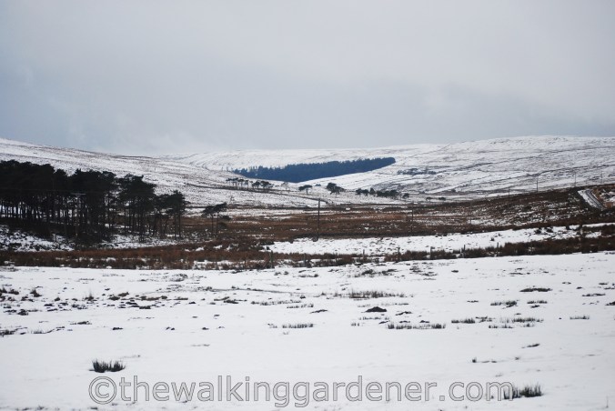 Dales Way Day 3 Cray to Ribblehead (3)