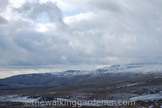 Dales Way Day 3 Cray to Ribblehead (30)