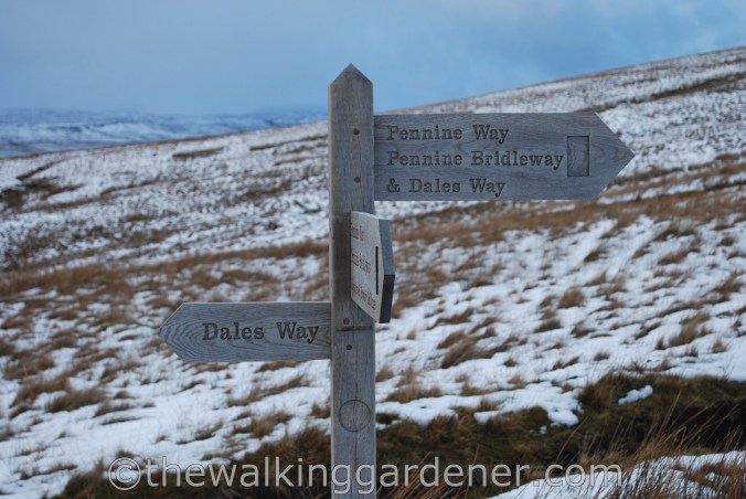 Dales Way Day 3 Cray to Ribblehead (31)