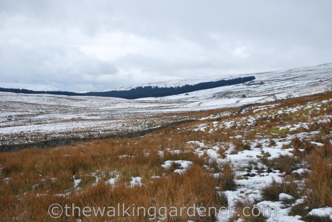 Dales Way Day 3 Cray to Ribblehead (6)