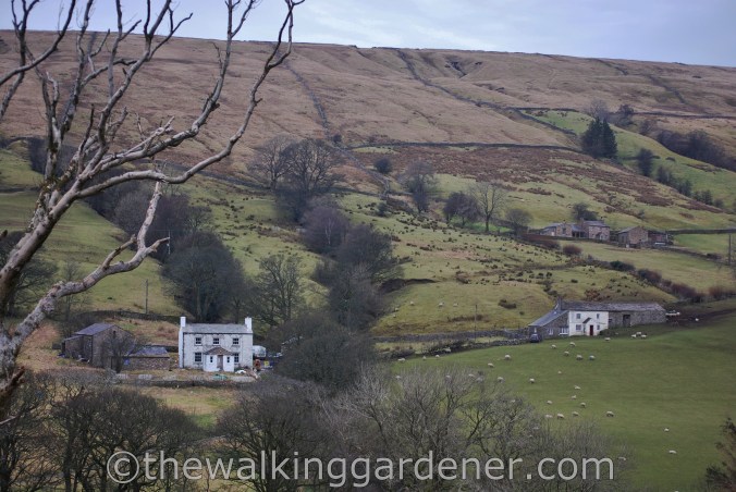 Dales Way Day 4 Ribblehead to Sedbergh (11)