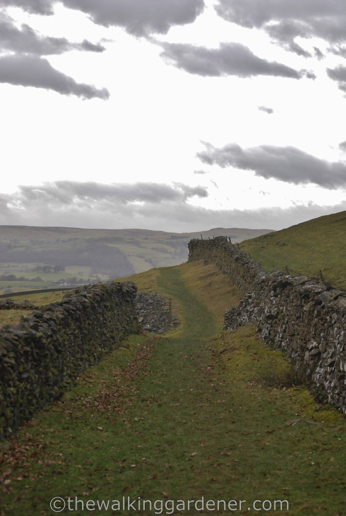 Dales Way Day 4 Ribblehead to Sedbergh (13)