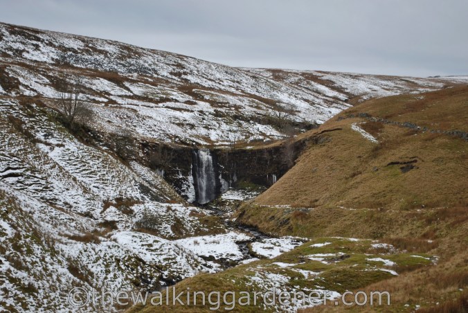 Dales Way Day 4 Ribblehead to Sedbergh (3)