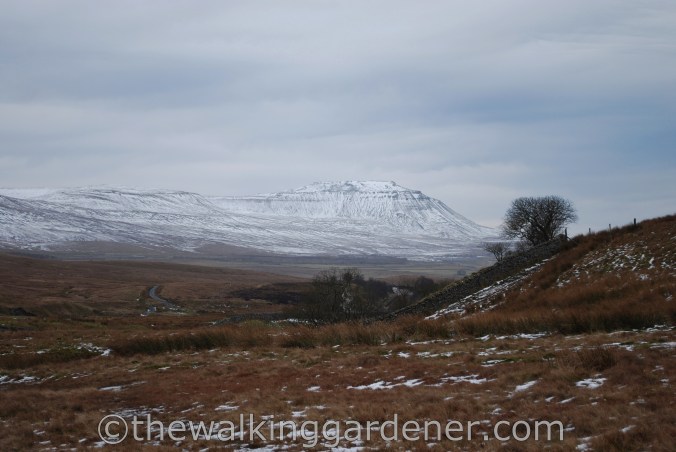 Dales Way Day 4 Ribblehead to Sedbergh (4)
