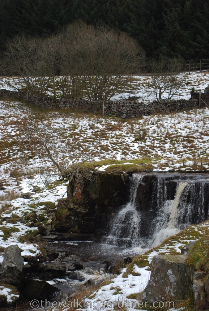 Dales Way Day 4 Ribblehead to Sedbergh (6)