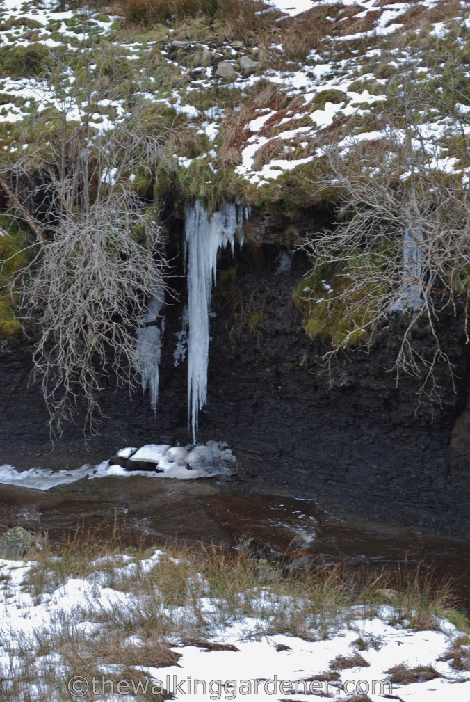 Dales Way Day 4 Ribblehead to Sedbergh (7)