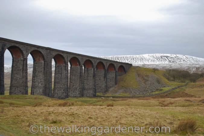 Ribblehead Viaduct Dales Way (2)