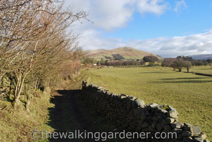 Dales Way Day 5 Howgill Fells