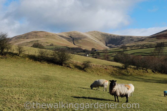 Dales Way Day 5 Sedbergh to Staveley (3)