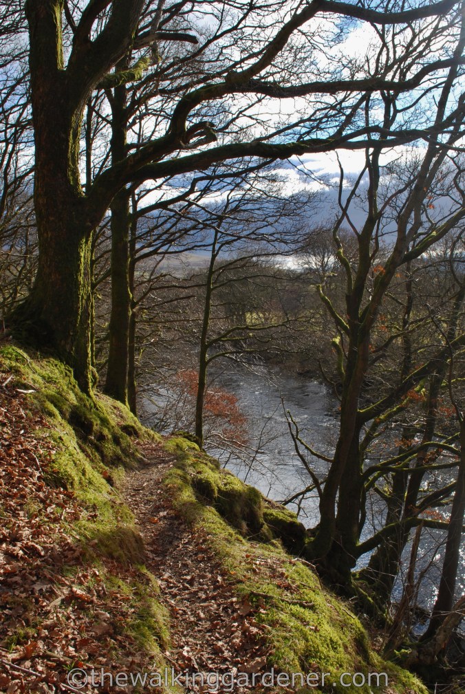 Dales Way Day 5 Sedbergh to Staveley (4)