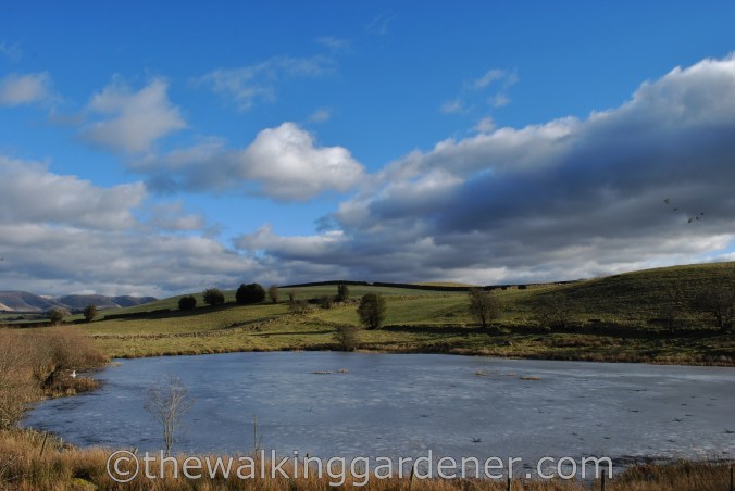 Dales Way Day 5 Sedbergh to Staveley (7)
