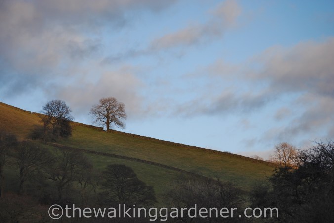 Dales Way Day 5 Sedbergh to Staveley (8)