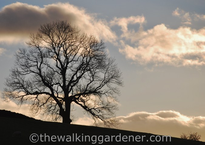 Dales Way Day 5 Sedbergh to Staveley (9)