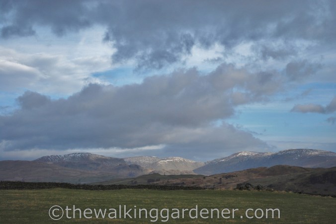 Dales Way Day 6 Staveley to Windermere (1)