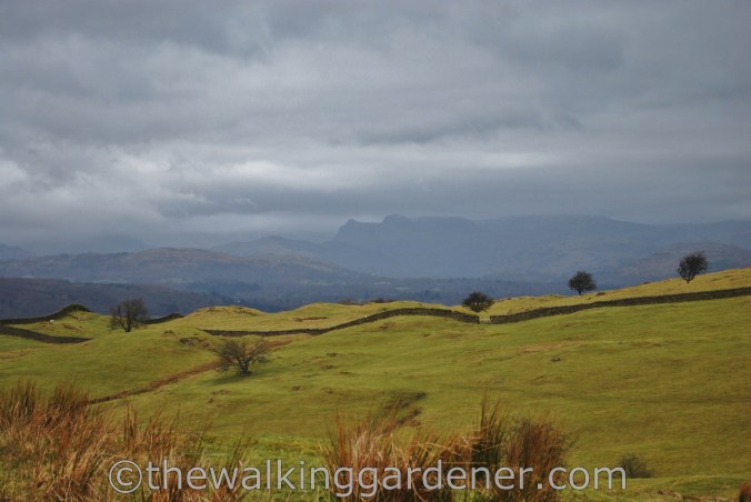 Dales Way Day 6 Staveley to Windermere (2)
