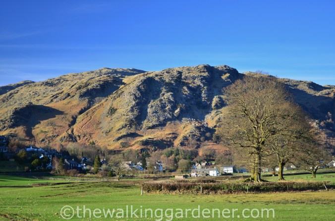Coniston