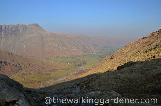 Great Langdale 2