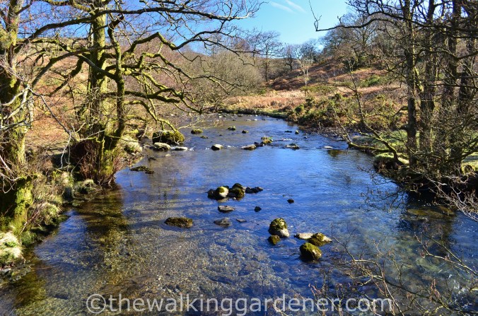 Torver Beck