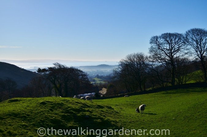 Ulverston