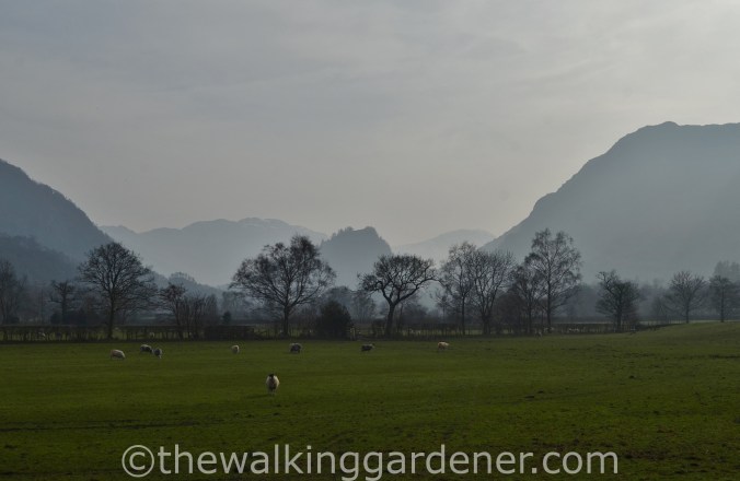 Borrowdale (2)