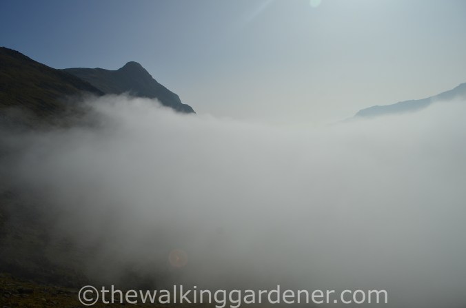 Cloud Inversion Lake District (2)