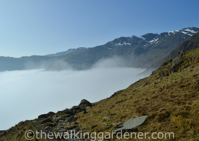 Cloud Inversion Lake District (3)