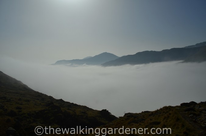 Cloud Inversion Lake District (4)