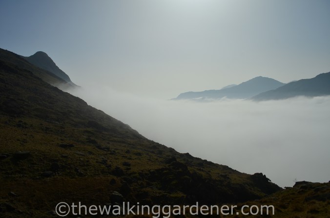 Cloud Inversion Lake District (5)