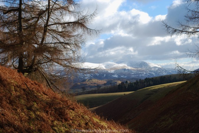 Cumbria Way (4)