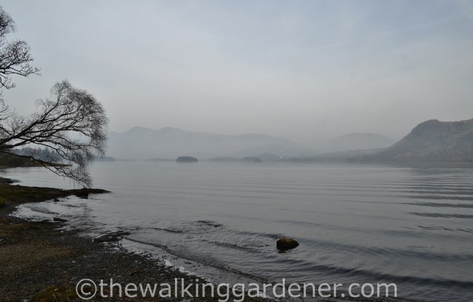 Derwent Water (3)