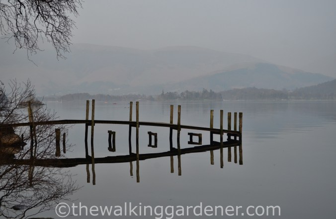 Derwent Water (4)