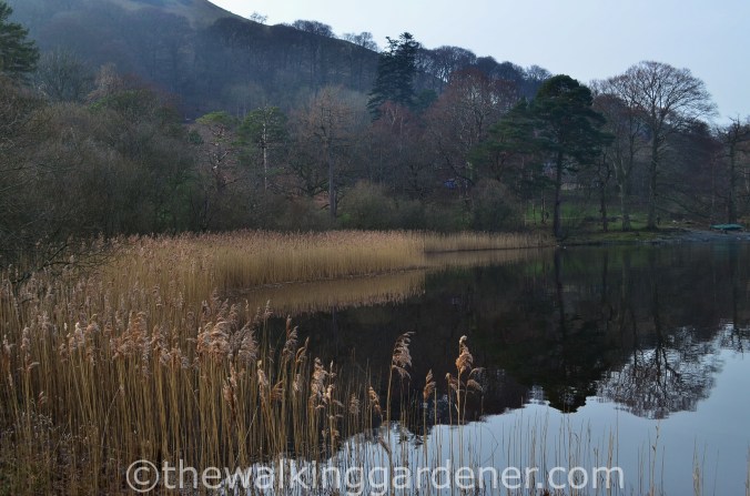 Derwent Water (5)