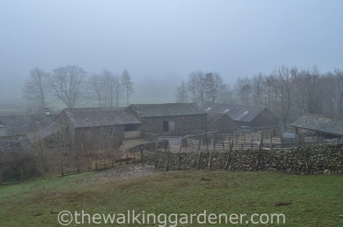 Middle Fell Farm Great Langdale