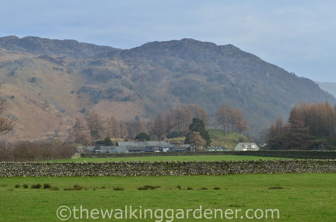 Rosthwaite Borrowdale