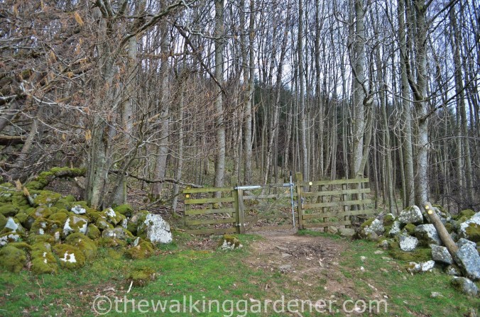 Cumbria Way Caldbeck to Carlisle (3)