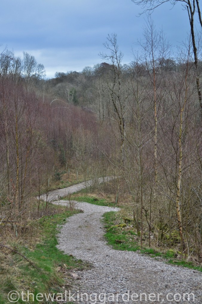 Cumbria Way Caldbeck to Carlisle (4)