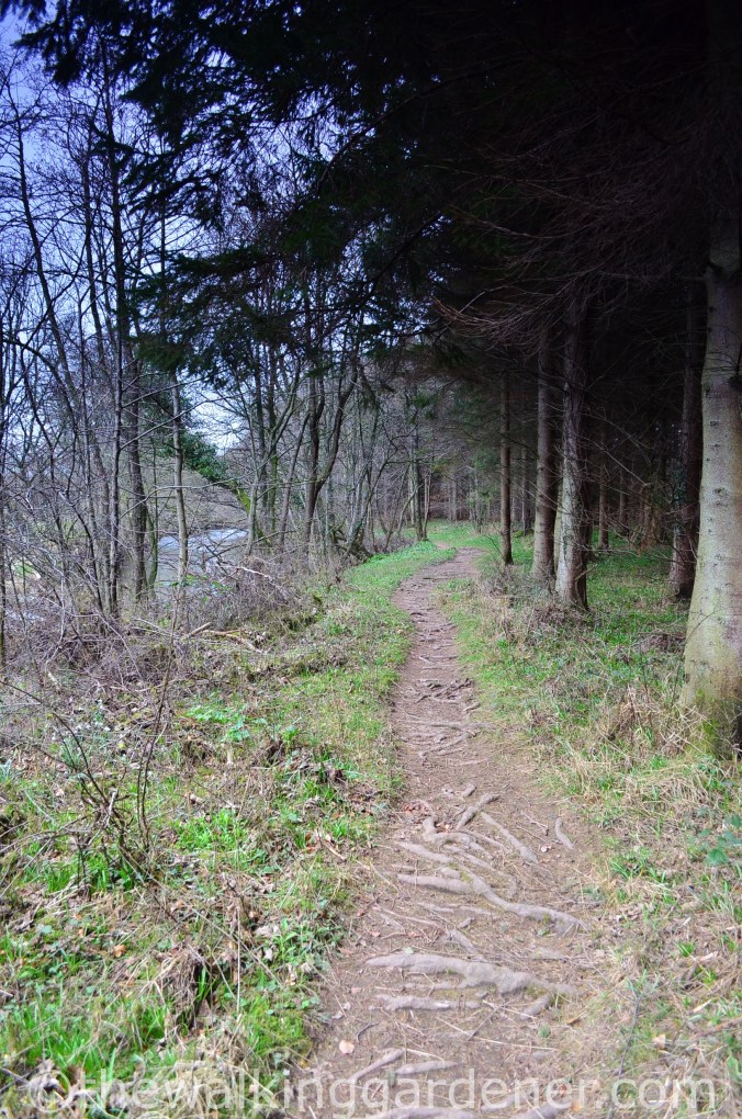 Cumbria Way Caldbeck to Carlisle (7)