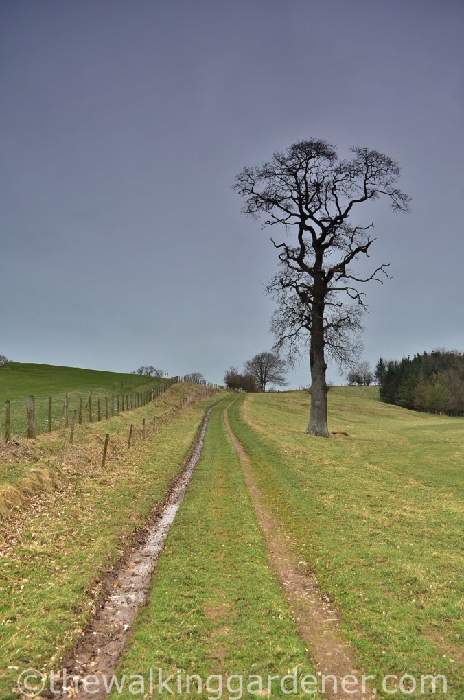 Cumbria Way Caldbeck to Carlisle (9)