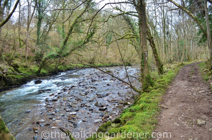River Caldew Cumbria (1)