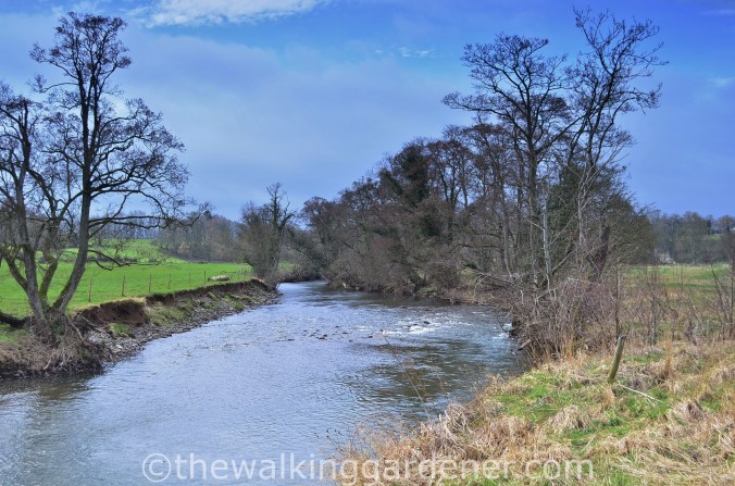 River Caldew Cumbria (3)