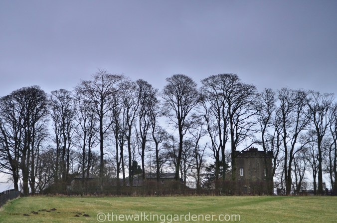 Birdoswald (2)