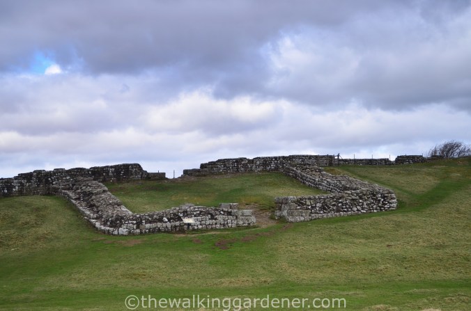 Cawfields Milecastle 42