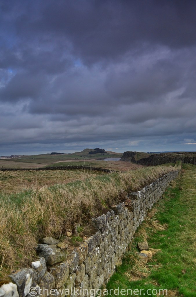 Clayton Wall Hadrian's Wall Path
