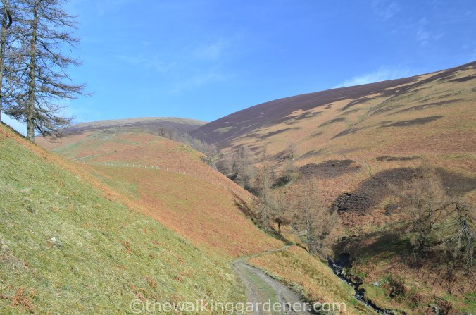 Cumbria Way (2)