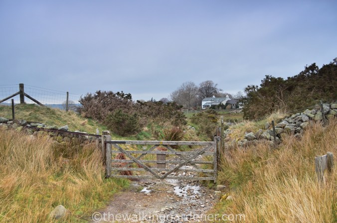 Cumbria Way Keswick to Caldbeck (4)
