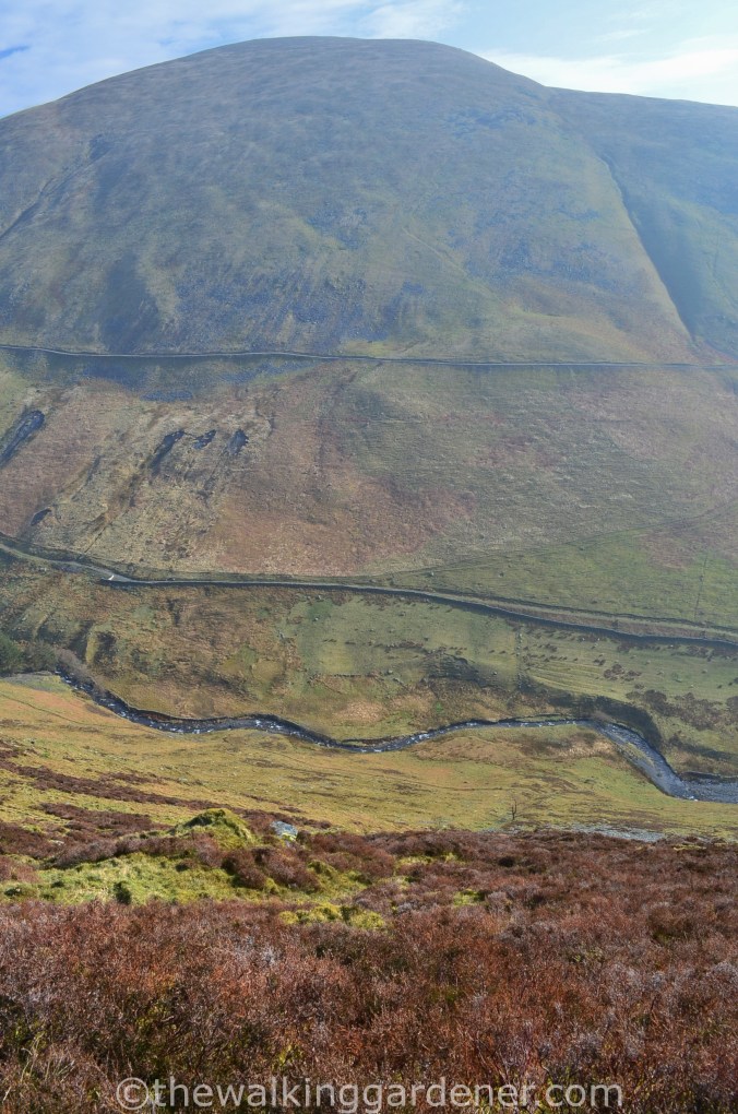 Glenderaterra Beck with Blease Fell beyond